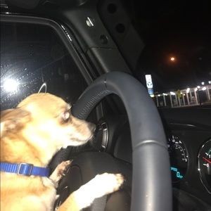 Meet your Posher, Kev